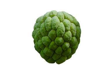 Obraz premium Single custard apple on background isolated background