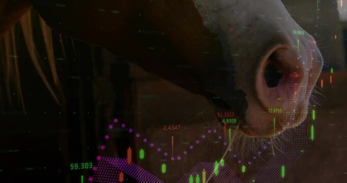 Cow breathing, magenta fading, bars animating morphing into rainbow mesh representing market data