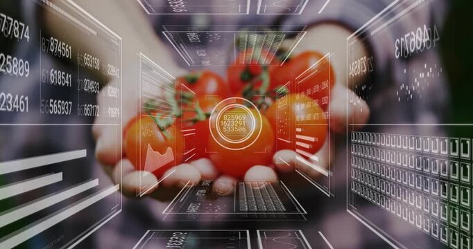 Woman presenting ripe tomatoes HUD reticle forming and panels sliding scanning produce for foodtech