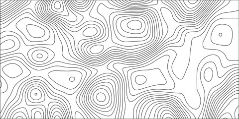 Fototapeta premium Gray topographic map background with abstract contour lines; minimalist 2D terrain pattern for modern graphic design