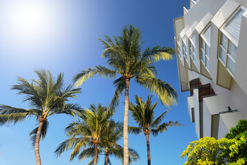 Fototapeta premium White resort hotel and green palms on blue sky background in Phuket, Thailand.