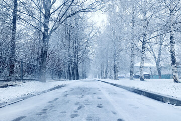 Obraz premium Snowfall in a winter park, landscape trees covered with snow, nature background, seasonal weather background