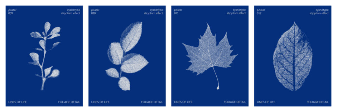 Set of cyanotype stipples effect poster with a nature graphic shape. Vector stipple leaves element in retro print style. Design templates for card, social media, banner, cover