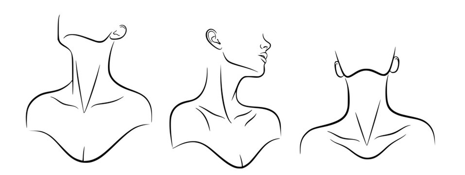 Minimalist line art illustrations of the female neck and shoulders from three different angles