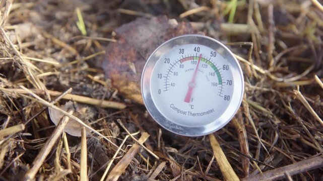 Compost thermometer showing high temperature indicating active decomposition process in organic matter