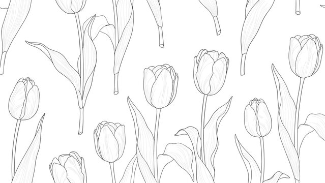 Beautiful monochrome line art illustration featuring a seamless pattern of elegant tulips with detailed petals and leaves.