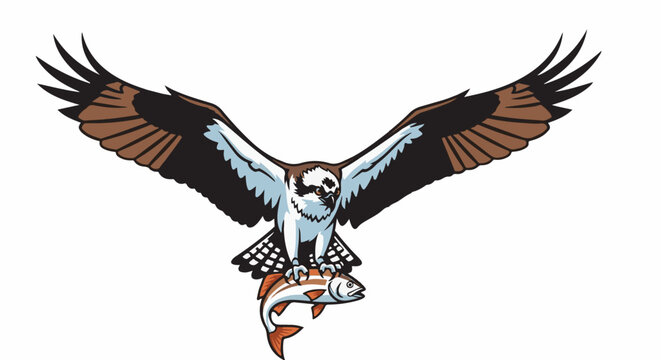 Bird of prey with outstretched wings grasps a struggling fish in its talons