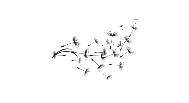 Black and white ink illustrations of dandelion seeds floating on a white background