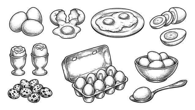 Egg breakfast set with quail eggs carton bowl and fried egg sketch