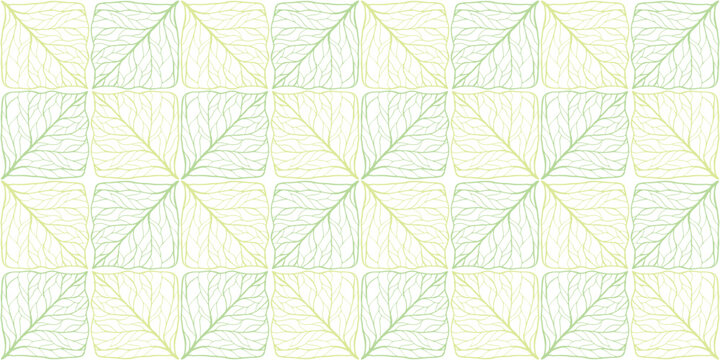 植物の葉脈が織りなす幾何学模様