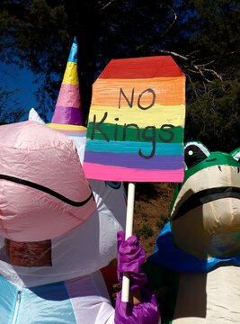 No Kings protesters wearing inflatable costumes