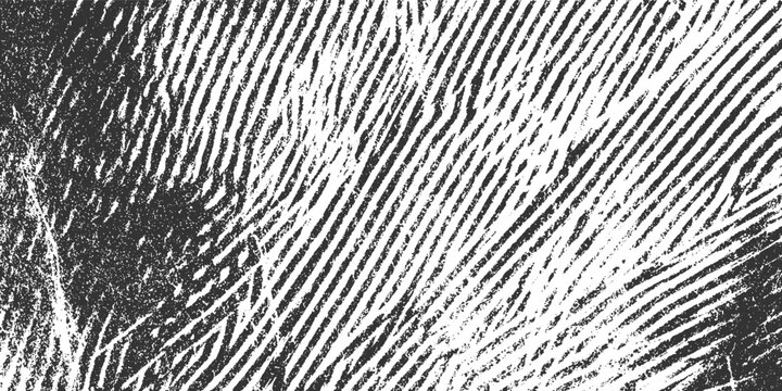 Close up of a black and white fingerprint texture with parallel ridges and rough grainy details pattern