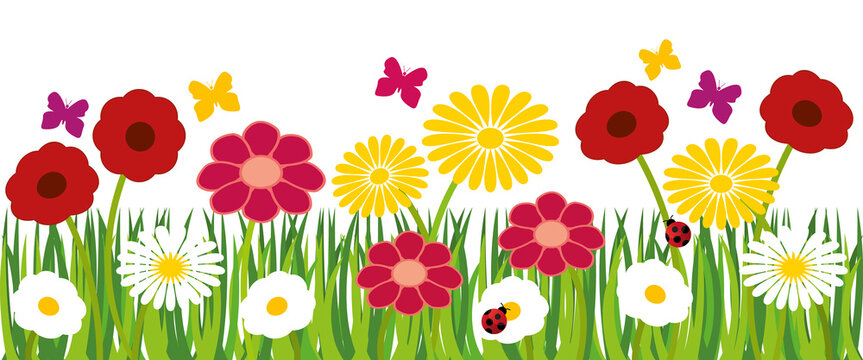 Spring flowers banner with ladybugs and butterflies. Hand drawn illustration.