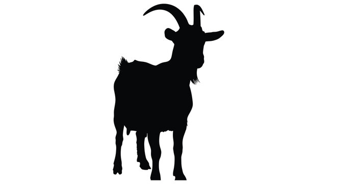 A striking black silhouette of a goat with curved horns silhouette
