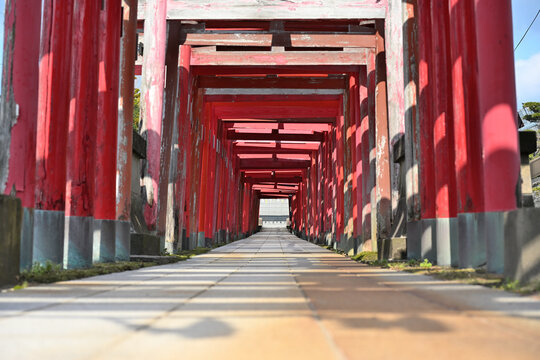 赤い鳥居が連なる青山御幣稲荷神社（新潟県新潟市西区）