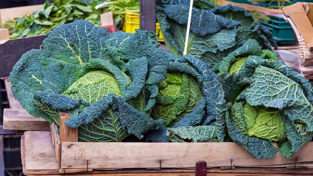 Green organic kale leaf cabbage vegetable pile sold outside on market