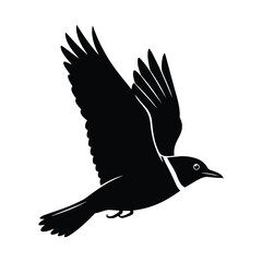 Obraz premium Silhouette of a flying bird with outstretched wings