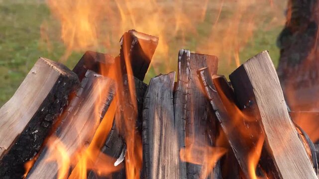 Close-up of burning firewood in a campfire with bright flames and glowing embers. Slow motion shot of wooden logs burning outdoors. Concept of camping, survival, warmth, outdoor cooking, and natural f