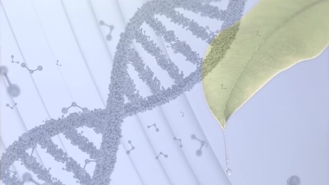 Animation of dna and molecular structures over close up of leaves against grey background