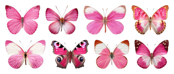 Fototapeta premium PNG Vibrant pink butterfly collection on transparent background
