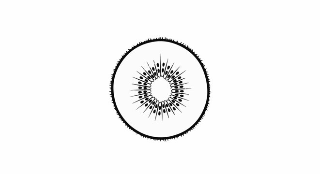 Stylized black and white illustration of a kiwi fruit slice