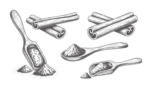 Hand drawn cinnamon sticks and powder wooden scoops and spoon spice