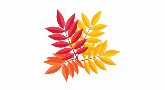 Autumn leaves in red, orange, and yellow hues branch out against a white backdrop