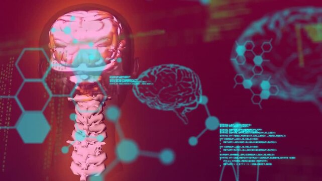 Animation ofhuman brains and scientific data processing