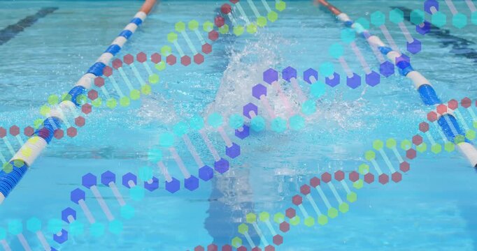 Swimmer lifting head for breath as swimming butterfly stroke in pool, with drifting biotech helix