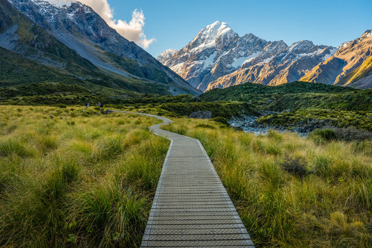A winding wooden boardwalk stretches through the lush tussock grasslands of the Hooker Valley Track, leading the eye toward the snow-capped peak of Aoraki Mount Cook, New Zealand's highest mountain.