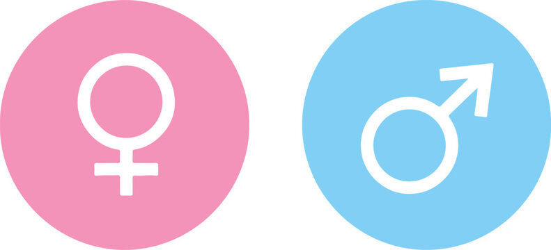 Female and Male Gender Symbols in Pink and Blue Circles, Flat Minimalist Design vector illustration
