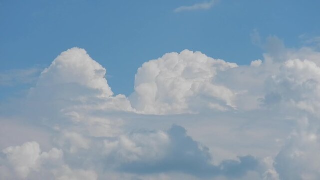Cumulus congestus, Towering cumulus clouds and Cumulus velum and blue sky - natural sky background slowly moving. Topics: weather, cloudscape, meteorology, nature, air space, cloud types, altitude