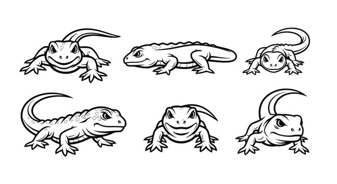 Collection of lizard illustrations in black and white outline.