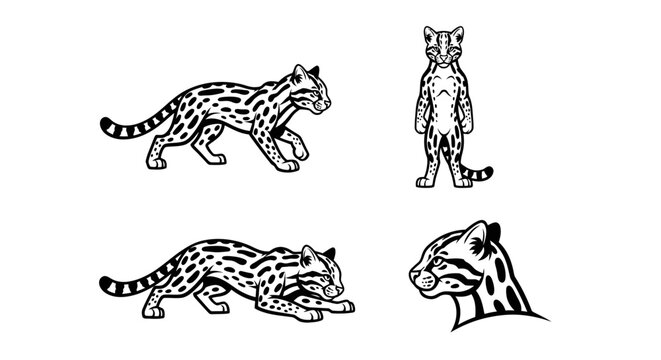 Detailed Line Art of Ocelots in Various Poses.