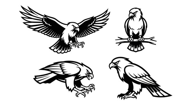 Eagle Illustrations - Majestic Birds of Prey in Striking Black and White.