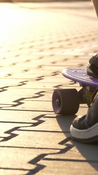 Skater steps on skateboard during golden hour sunset. Person begins skateboarding on pavement in vertical format. Skateboard casting shadows while rider starts skating. Urban sport activity creates