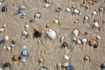 Nordsee in Nordholland, Sint Maartenszee, Strand © UllaAnne