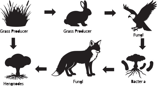 Silhouette food chain diagram with grass rabbit eagle and decomposers black and white