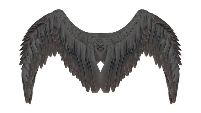 Dark Angel Wings Spread Open Isolated on White Background, Gothic Fantasy Element