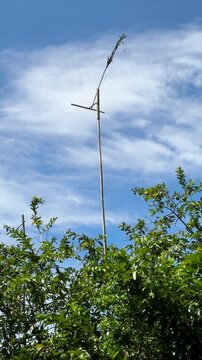 The windmill on the tree made of bamboo turned slower and slower. With the clear blue sky