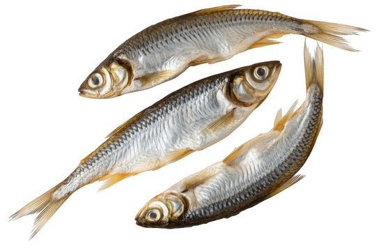 Three silver fish sideways three fish seafood isolated on a transparent background