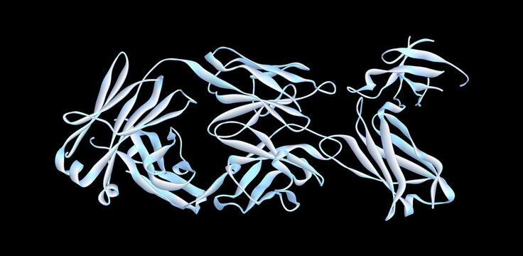 Dupilumab antibody antigen protein complex with IL-4 receptor and immunoglobulin Fab fragment. Protein visualization of IL-4R alpha inhibitor. 3D render