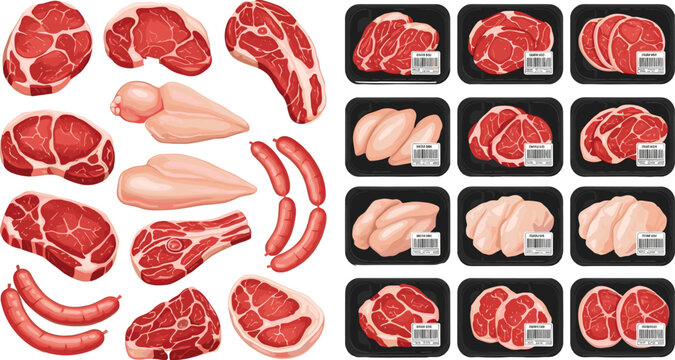 Various Meat Cuts Including Steaks, Sausages, Chicken, and Packaged Meat Trays with Labels in a Clean Cartoon Style