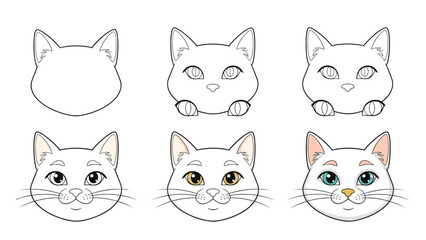 Obraz premium Step by step drawing tutorial of a white cat face showing stages from basic shapes to a finished colorful illustration.