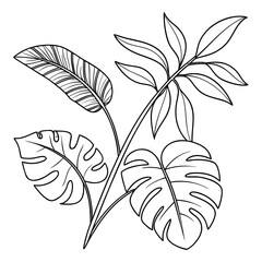 Black outline of a botanical drawing featuring a split-leaf philodendron, banana leaf, and palm frond on white background © naz