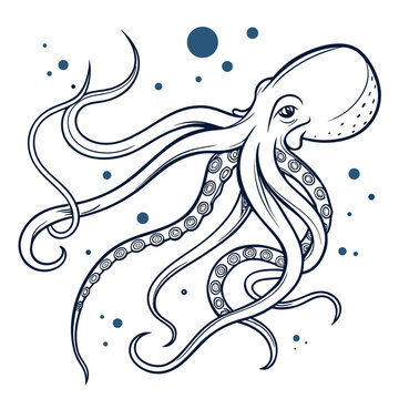 Octopus animal aquatic creature nautical sea life marine biology mollusk ocean wildlife tentacle kraken cephalopod suction cup with bubbles