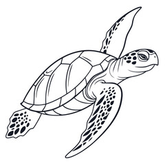 Sea turtle swimming gracefully in ocean blue water with flippers extended in elegant motion, beautiful marine life underwater scene © Sirajum