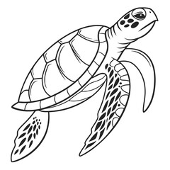 Classic line drawing of green sea turtle swimming elegantly marine animal detailed shell pattern flippers oceanic wildlife vector © Sirajum