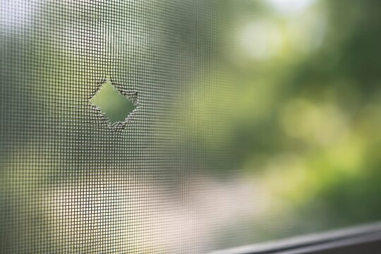 a hole in the mosquito net on the window