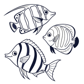 School of three cartoon style exotic fish with black and white stripes and fins, set against plain white background, vector illustration